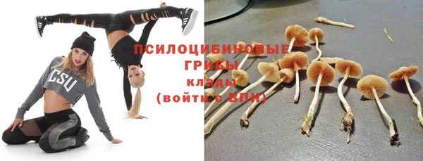 а пвп мука Алексин