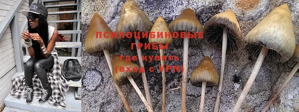 герыч Алзамай