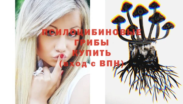 герыч Алзамай