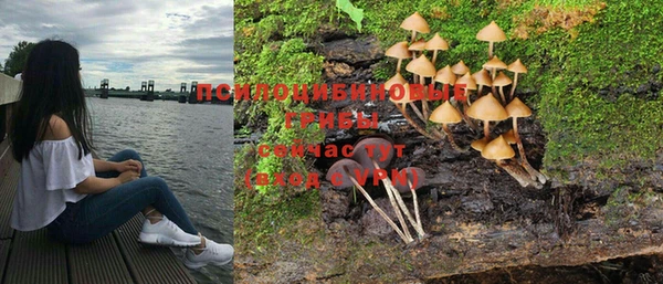 а пвп мука Алексин