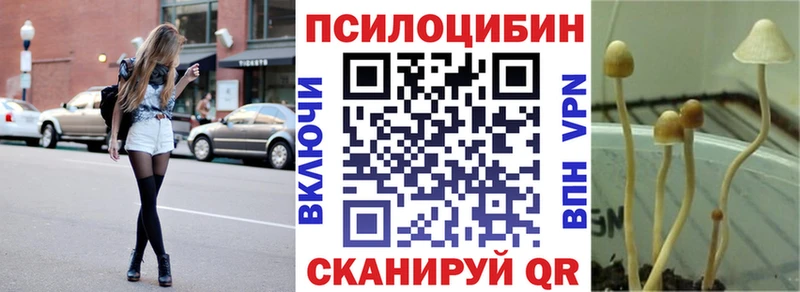 нарко площадка состав  где продают   Спасск-Рязанский  Псилоцибиновые грибы MAGIC MUSHROOMS 